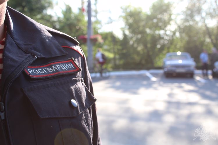 В Оренбуржье бойцы Росгвардии задержали мужчину и трех женщин за хищение продукции тепличного хозяйства