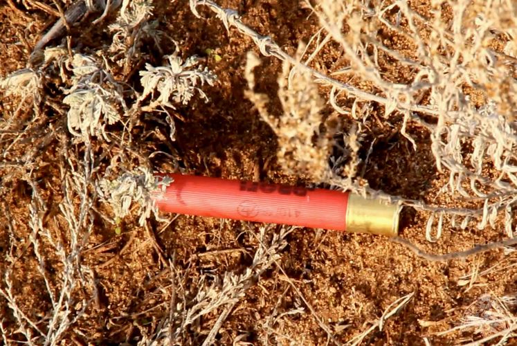 В Оренбуржье Росгвардия подвела первые итоги межведомственных профилактических рейдов в охотничьих угодьях региона