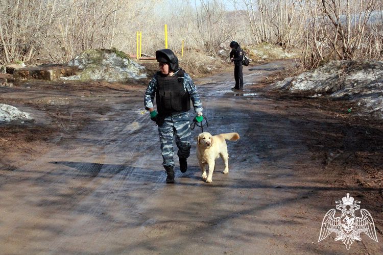 Росгвардейцы приняли участие в антитеррористическом учении Оперативного штаба в Оренбургской области