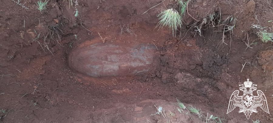 Под Оренбургом росгвардейцы уничтожили авиационную бомбу