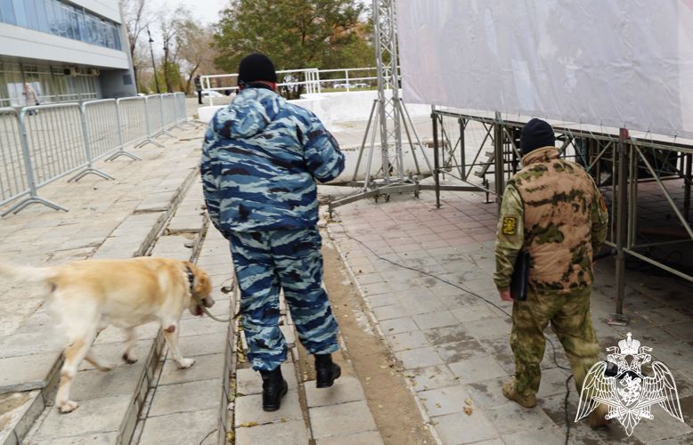 В Оренбурге росгвардейцы приняли участие в обеспечении безопасности торжественных мероприятий, посвященных Дню народного единства