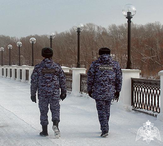 В Оренбургской области росгвардейцы примут участие в охране общественного порядка на Рождество 