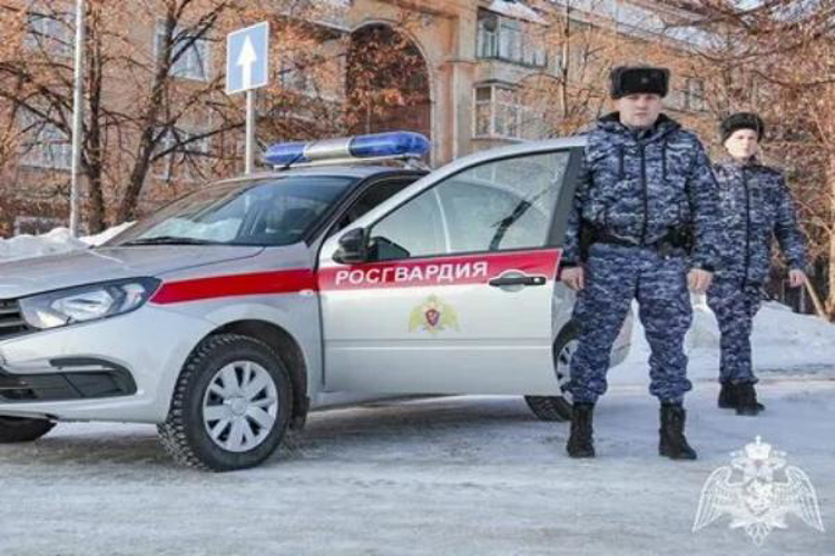 Росгвардейцы задержали подозреваемого в краже игровой приставки