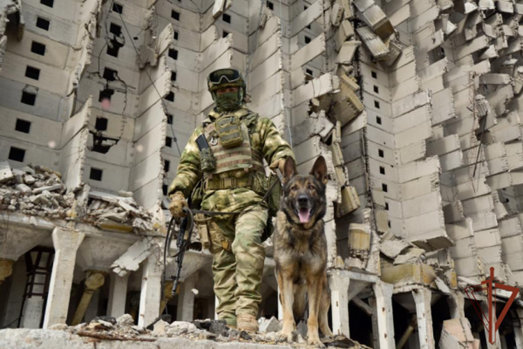 РОСГВАРДЕЙЦЫ ОБЕЗВРЕДИЛИ БОЕПРИПАСЫ НА ПОВРЕЖДЁННОМ СКЛАДЕ ВООРУЖЕНИЯ В ХЕРСОНСКОЙ ОБЛАСТИ