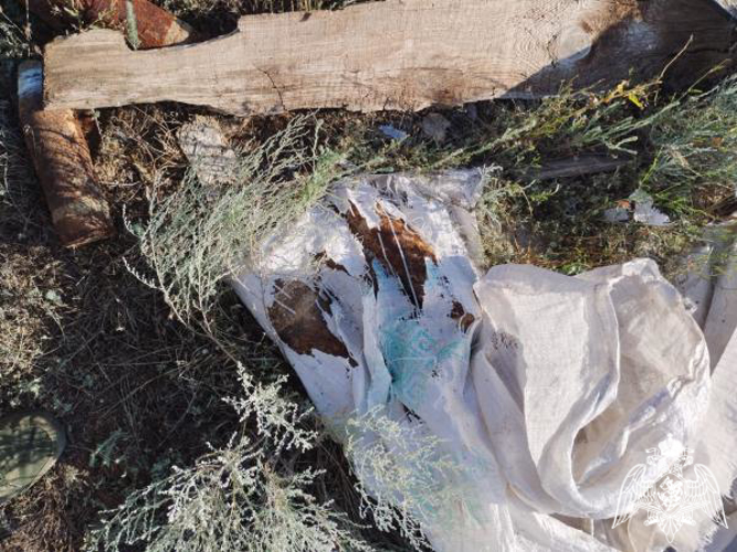 В Оренбурге взрывотехник ОМОН произвел осмотр обнаруженных артиллерийских снарядов