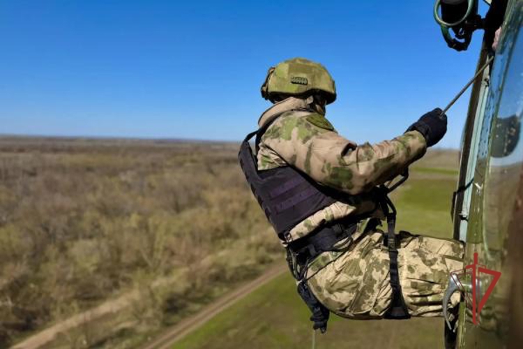 Спецназ Росгвардии отработал беспарашютное десантирование в Оренбургской области (видео)
