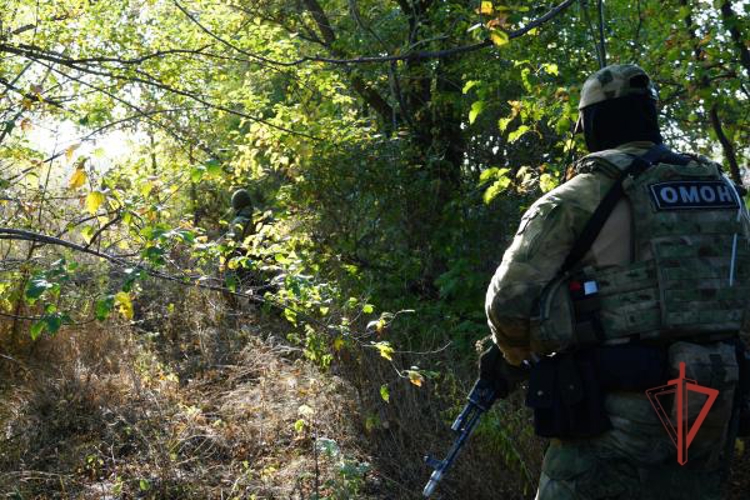 Сотрудники ОМОН «Кобра» проведут прямую линию по вопросу трудоустройства на службу в Росгвардию и поступления в ведомственные институты (видео)