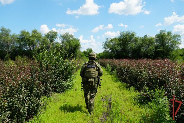 В Оренбургской области росгвардейцы приняли участие в антитеррористическом тактико-специальном учении