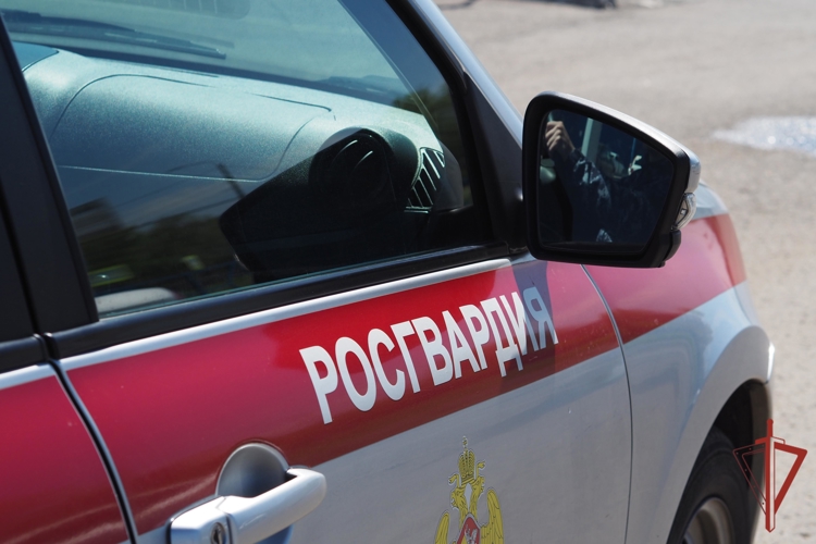 Росгвардейцы в Оренбурге задержали женщин за хищение товаров из гипермаркета