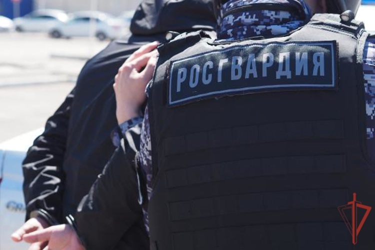 Сотрудники вневедомственной охраны Росгвардии задержали мужчину, нарушавшего покой граждан в ночное время
